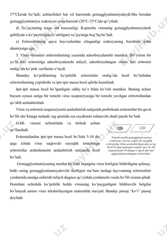 i 5-10 da-qiqa ichida virus saqlovchi suyuqlik tomchisiga eritrotsitlar aralashmasini aralashtirish natijasida hosil bo’ladi. gemagglyutinatsiyaning musbat bo’lishi faqatgina virus borligini bildiribgina qolmay, balki uning gemagglyutinatsiyalovchi faolligini ma’lum turdagi hayvonning eritrotsitlari yordamida amalga oshirishi tufayli diagnoz qo’yishda yordamchi vosita bo’lib xizmat qiladi. homilani ochishda ko’pchilik holda virusning ko’payganligini bildiruvchi belgilar bo’lmaydi ammo virus tekshirilayotgan materialda mavjud. bunday passaj “ko’r” passaj deyiladi. asosiy adabiyotlar 1. вербицкий а.а., алешкевич в.н и др. микробиология и иммунология. учебное пособие минск-2019. 2. salimov x. va boshqalar. epizootologiya. darslik. toshkent, 2016 yil. xorijiy adabiyotlar 1. fenner’s. veterinary virology (united states of america 2016 year). 2. m.jackson veterinary clinical pathology. america 2010 year. qo’shimcha adabiyotlar 1. mirziyoyev sh.m. erkin va farovon demokratik o’zbekiston davlatini birgalikda barpo etamiz. toshkent, “o’zbekiston” nmiu, 2017. – 29 b. 2. mirziyoyev sh.m. qonun ustuvorligi va inson manfaatlarini ta’minlash yurt taraqqiyoti va xalq farovonligining garovi.“o’zbekiston” nmiu, 2017.– 47 b. 3. bazarov x.k., abdulakimova a.b. …