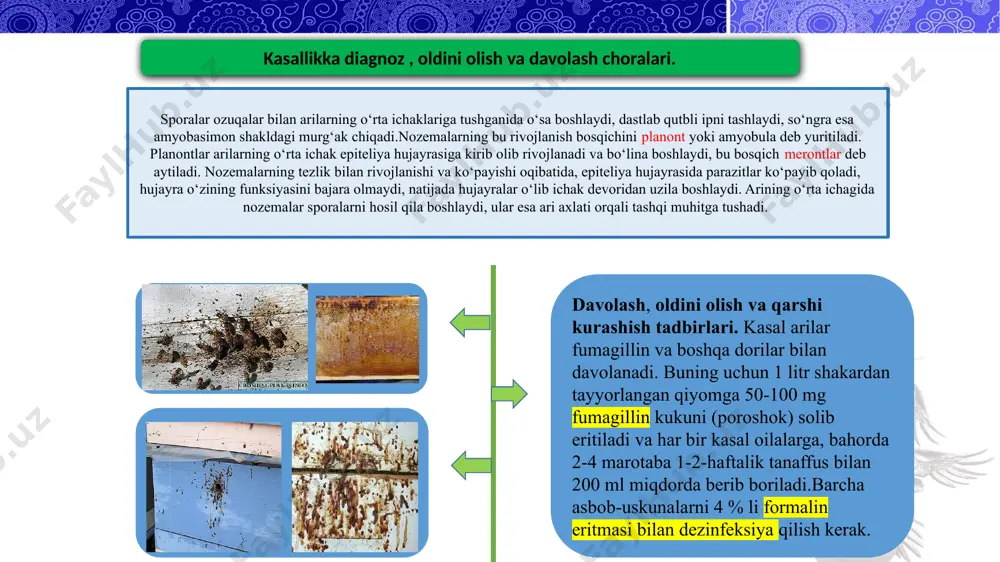allikni xarakterli klinik belgilaridan biri bu kasal arilarda uchish qobiliyatining yo‘qolishi bo‘lib, kasal arilar uyasidan qo‘nadigan taxtaga o‘rmalab chiqib uchishga harakat qiladi, biroq ucha olmaydi, pastga tushib ketadi va qanotlarini yoyib arixona atrofida o‘rmalab yuradi. arixona atrofda ko‘pgina asalarilarning o‘rmalab yurishi akarapidoz kasalligidan darak beradi. diagnoz va differensial diagnoz. kasallikka diagnoz xarakterli klinik belgilarga qarab, hamda laboratoriya sharoitida kasal arilarning birinchi juft traxeyasini mikroskop ostida tekshirib, kanalarni topish asosida qo‘yiladi. kasallikni davolash, oldini olish va qarshi kurashish tadbirlari. akarapidoz kasalligini davolashda quyidagi preparatlar ishlatiladi: folbeks, efirsulfonat, etildixlorbenzilat, tedion. bu dorilar quyidagi miqdorda beriladi:(10 ta uyachalardan iborat bir oilaga folbeks bilan bir marotaba ishlov berishda 0,5 gr, to‘liq kursi uchun 4 gr efirsulfonat mos ravishda 0,3 va 2,4 gr, tedion 1 va 10 gr) ketadi. davolash muolajalari kechqurun hamma asalarilar uyaga qaytgandan so‘ng o‘tkaziladi. davolashdan oldin arixona va uyalarni tayyorlash kerak. buning uchun ikkita chetki romlar olinadi, boshqalari biroz surilib, oralig‘ida …