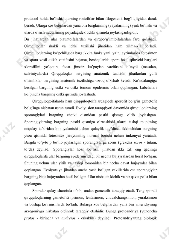 qirqquloqlarda ular bargning epidermisidagi bir nechta hujayralardan hosil bo’lgan. shuning uchun ular yirik va tashqi tomonidan bir necha qavat hujayralar bilan qoplangan. evolyutsiya jihatdan ancha yosh bo’lgan vakillarida esa sporangiylar bargning bitta hujayradan hosil bo’lgan. ular nisbatan kichik va bir qavat po’st bilan qoplangan. sporalar qulay sharoitda o’sib, undan gametofit taraqqiy etadi. teng sporali qirqquloqlarning gametofiti ipsimon, lentasimon, chuvalchangsimon, yuraksimon va boshqa ko’rinishlarda bo’ladi. bularga xos belgilardan yana biri anteridiyning arxegoniyga nisbatan oldinrok taraqqiy etishidir. bunga protoandriya (yunoncha protos - birincha va andreios - erkaklik) deyiladi. protoandriyaning biologik mohiyati shundaki, turli muddatlarda etilgan arxegoniyda chetdan urug’lanishi uchun imkoniyat tug’iladi. qirqquloqlarda ham spermatozoid qirqbo’mimlarnikidek ko’p xivchinli bo’lib, urug’lanishi suv yordamida boradi. gametofitdagi tuxum hujayralardan bir nechtasi urug’lanishi mumkin, lekin ulardan faqat bitgasining zigotasigina taraqqiy etadi va o’simta (gametofitni) hosil qiladi. o’simtada murtak joylashadi, undan esa sporofit rivojlanadi. 9-rasm. qirilib ketgan qirqquloqlar. 1. eospermatopteris, 2. stavtopteris, 3. kladoksilon 10-rasm. 1. sistopteris (cystopteris …