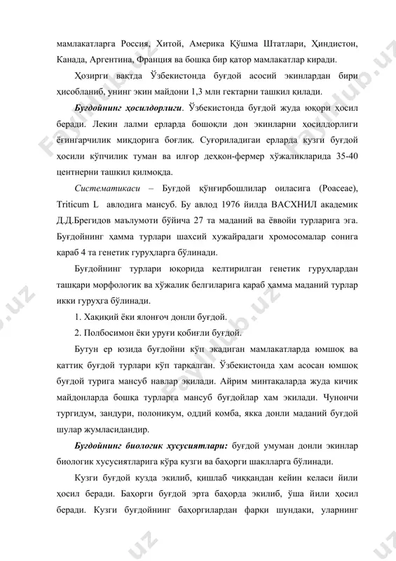а у талаб қилган ҳарорат бўлмаганлиги сабабли ўсимликлар фақат тупланади, бошоқ чиқармайди ва ҳосил бермайди. буғдой кузда экилганда, унинг биологик кузги навлари ишлатилиши керак. биологик баҳорги навларни ҳам кузда экиб бўлмайди, чунки улар кўпроқ иссиқ ҳароратга талабчан бўлганлиги учун қишки совуқлар натижасида нобуд бўлади. лекин қиш юмшоқ келадиган минтақаларда навларнинг учинчи тури ярим кузги навлари учрайди. бу навларни кузда ва баҳорда экиш мумкин, икки ҳолда ҳам улардан нормал дон ҳосили олинади. ярим кузги навларни кеч кузда экиш керак. эртаги муддатларда биологик кузги навлар экилиши керак. ярим кузги навларнинг қишга чидамлилиги баҳорги навларга нисбатан юқори бўлади. шунинг учун ўзбекистоннинг лалми ва суғориладиган ерларида кузги муддатда экиш учун биологик ва ярим кузги навлардан фойдаланиш керак. умуман, ўзбекистоннинг барча вилоятларида буғдой кузда экилиши керак. чунки улар кузги-қишки, баҳорги ёғингарчиликлардан тўла фойдаланади. баҳорда эрта ўса бошлайди, баҳорги экинларга нисбатан 10-12 кун эрта пишади, шунинг учун кузги буғдойнинг гуллаш даври ёзги иссиқ гармсел шамолларга дуч …