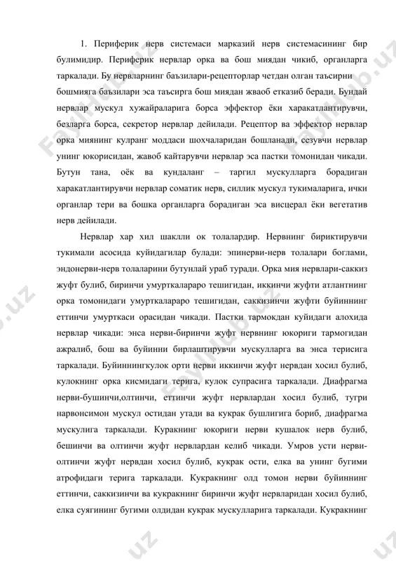 унинг бугими атрофидаги терига таркалади. кукракнинг олд томон нерви буйиннинг еттинчи, саккизинчи ва кукракнинг биринчи жуфт нервларидан хосил булиб, елка суягининг бугими олдидан кукрак мускулларига таркалади. кукракнинг орка томони нерви буйиннинг еттинчи, саккизинчи ва кукракнинг биринчи жуфт нервидан хосил булади. кукрак олди нерви-буйиннинг олтинчи, еттинчи, саккизинчи жуфт нервларидан хосил булади. курак ости нерви буйиннинг олтинчи, еттинчи ва саккизинчи жуфт нервлардан хосил булади. култик нерви буйиннинг еттинчи ва саккизинчи жуфт нервларидан хосил булади. мускул-тери нерви-буйиннинг олтинчи, еттинчи ва саккизинчи жуфт нервларидан хосил булади. билак нерви буйиннинг саккизинчи ва куракнинг биринчи жуфт нервларидан хосилбулади. билакнинг юза нерви-уч бошли мускулнинг ён томон боши ёнидан чикиб, тирсак, билак, кафт ва бармок терисига таркалади. билакнинг чукур нерви билакузук ва бармок бугимларини ёзуувчи мускулларга таркалади. тирсак нерви-буйиннинг саккизинчи ва кукракнинг биринчи, иккинчи жуфт нервларидан хосил булади. урта нерв-буйиннингеттинчи, саккизинчи ва кукракнинг биринчи, иккинчи нервларидан хосил булади. хайвонларнинг кукрак умурткаси канча булса, шунча жуфт кукрак нерви булади. …