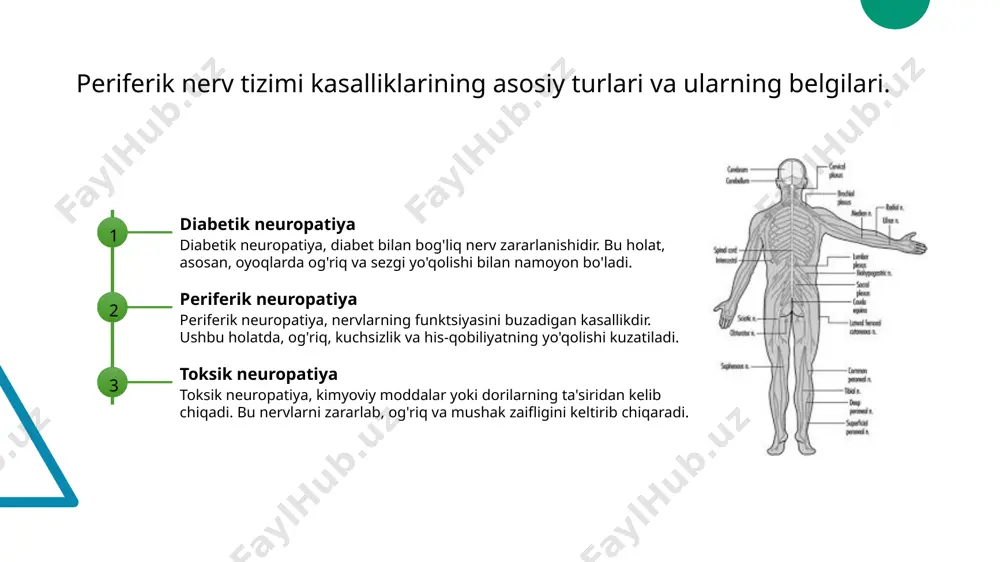 periferik nerv tizimi kasaliklari - Page 4