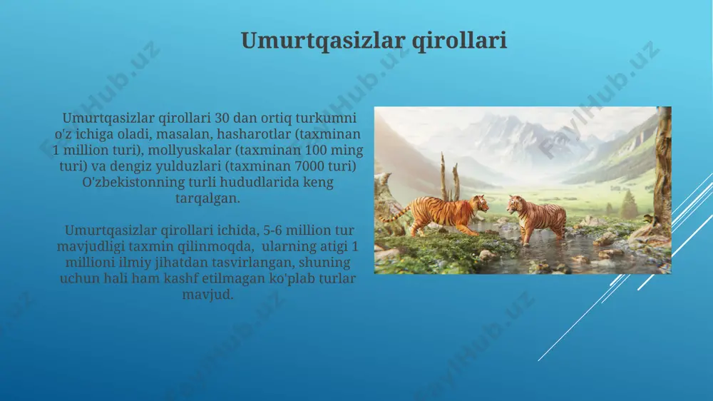 hayvonot dunyosining hukmronliklarga ajratilishi - Page 5