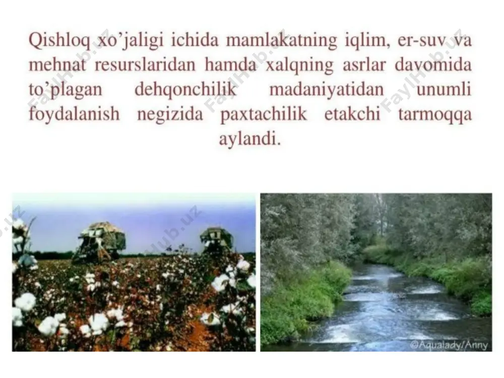 qishloq xoʻjaligi haqida - Page 3