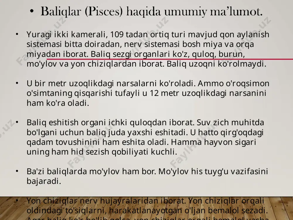 bo`limdan: miya qutisi va visseral skeletidan tashkil topgan. miya qutisi eshitish, ko`rish va hidlash organlari, tog`ay kapsulalari hamda qazg`ich burun skeletlaridan tashkil topgan bo`lib, bu kapsulalar bosh miyani hamma tomondan himoya qilib turadi. visseral skelet jabra yoyi, til osti yoyi, va jag` yoylaridan tuzilgan. juft suzgichlari skeleti suzgich va erkin kamar suzgichlari skeletidan tashkil topgan. ko`krak suzgichlari kamari yoki yelka kamari akula gavdasini ikki yonidan va pastki tomonidan o`rab oladigan yaxlit tog`ay yoyidan iborat. yoyning o`rtasida birikish yuzasi bo`lib, unga erkin suzgich skeleti birikadi. ko`krak suzgichlari erkin skeleti 3 bo`limdan iborat. ko`krak suzgichlari kamariga tegib turgan qismi uchta tog`ay bazaliyalardan, bazaliyalarga birikkan tayoqchasimon radialiyalardan va bularga birikkan uzun elastik iplardan tashkil topgan. qorin suzgichlari kamar skeleti yoki chanoq kamari tayoqchasimon tog`aydan iborat. qorin suzgichlari erkin skeletidan faqat bitta bazaliya bo`ladi. bazaliyaning tashqi chetiga radialiyalar birikadi. bosh miyasi nisbatan katta. nerv moddasi oldingi miya yarim sharlarining tagida, yon tomonlarida va, hatto, …