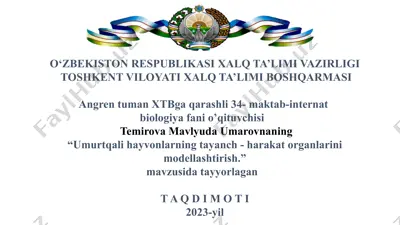 umurtqali hayvonlarning tayanch - harakat organlarini modellashtirish — PPT