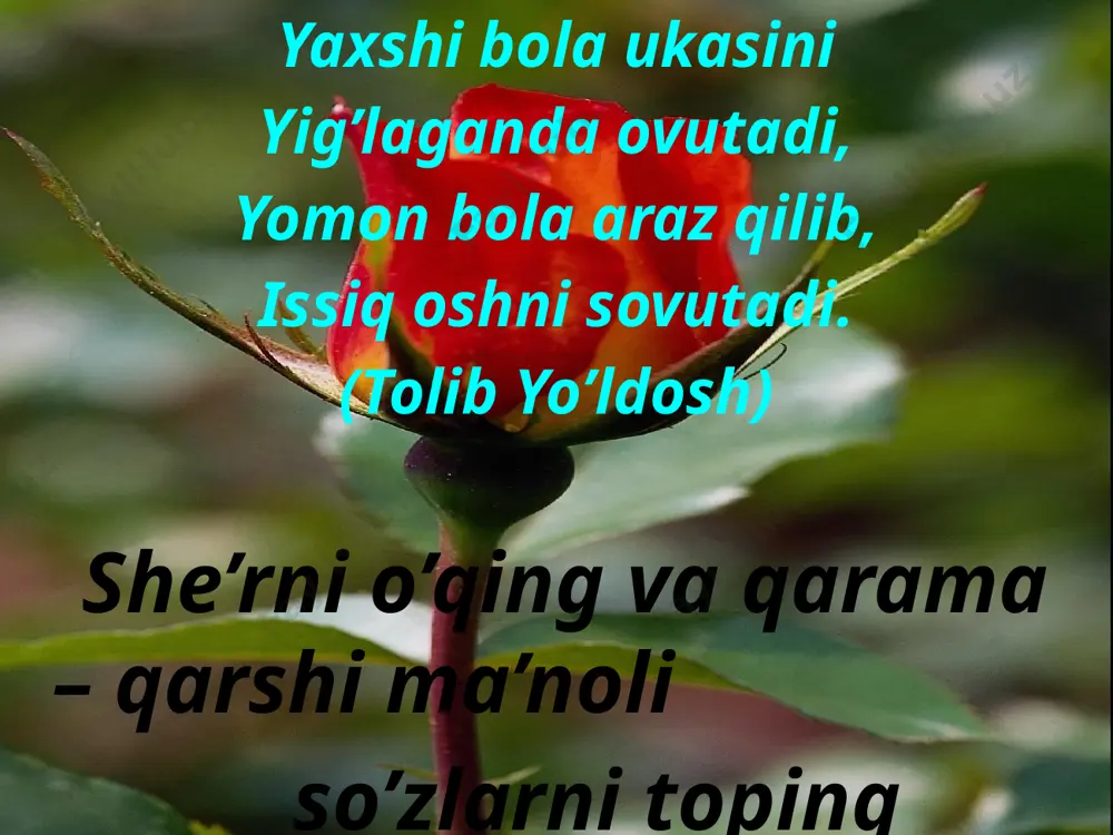 o’quvchining o’zlashtirishi zarur bo’lgan bilim, ko’nikma va malakalar - Page 5