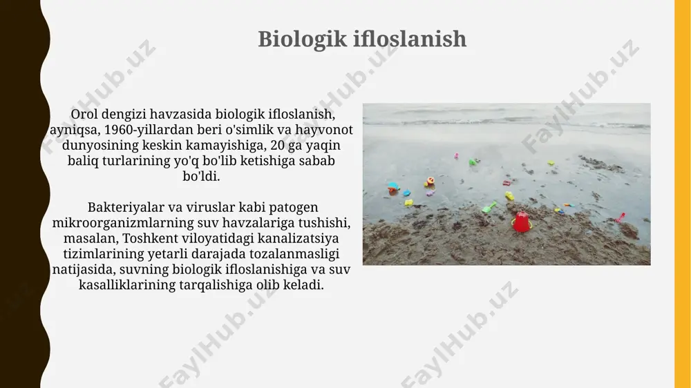 suvning ifloslanishi va ifloslanish turlari - Page 5