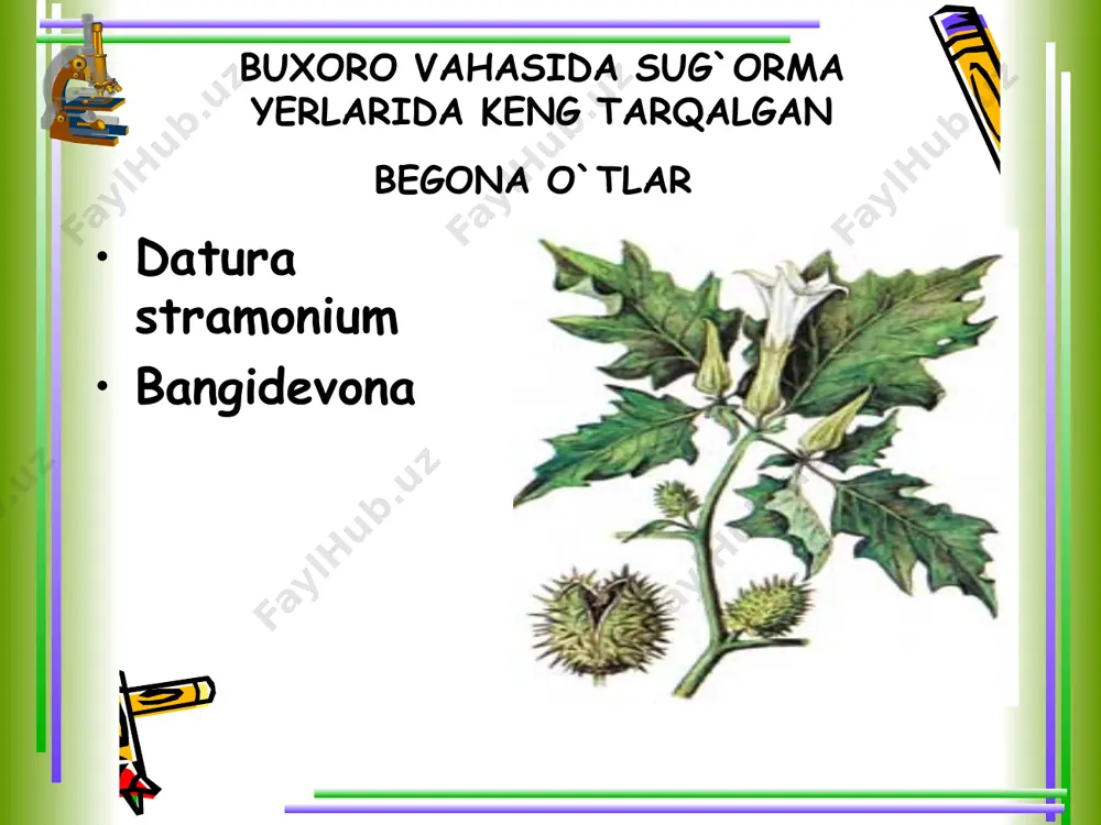 buxoro ekologiyasi - Page 2
