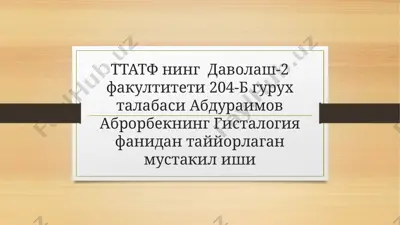 sut bezlari faoliyati — PPTX