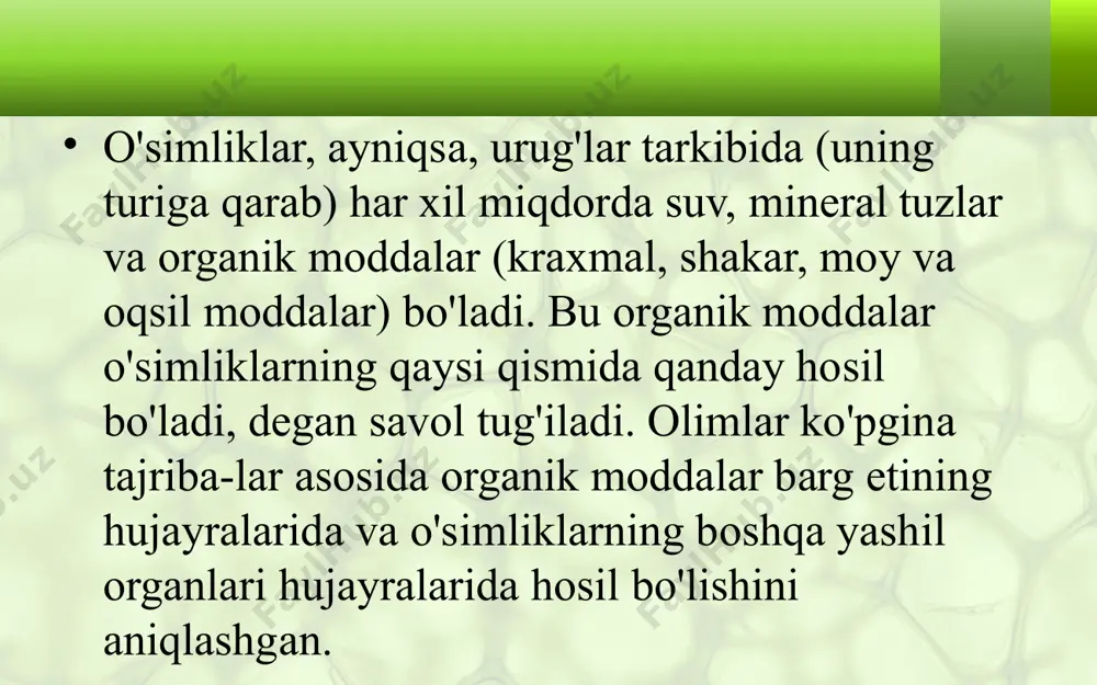 barglarda organik moddalarning hosil bo‘lishi - Page 3