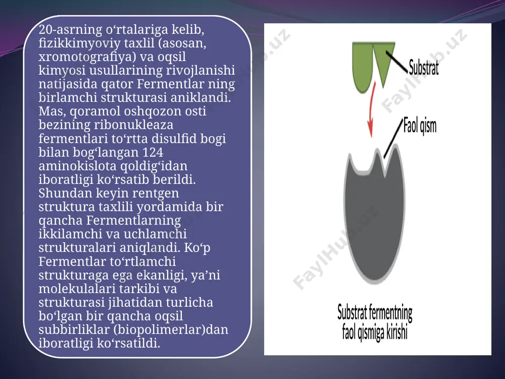 malar va boshqa katta rol oʻynaydi. enzimopatiya yoki fermentopatiya deb ataluvchi turli fermentlar tizimi funksiyalarining buzilishi kishida koʻpchilik kasalliklarning kelib chiqishiga sabab boʻladi. turli omillar (radiatsiya, kimyoviy moddalar, viruslar, bakteriyalar va boshqalar) tufayli fermentlarning optimal taʼsir etish sharoiti oʻzgarganda fermentlarning qondagi faolligi pasayishi kuzatilgan. uning bu xususiyatidan diagnostikada foydalaniladi. fermentlarning kon zardobidagi faolligini aniqlash usuli keng qoʻllaniladi. bu usul yordamida kasallikni boshlanish paytida aniqlash mumkin. fermentlar kasalliklarni aniqlashdagina emas, balki shu kasalliklarning ayrimlarini davolashda (enzimoterapiya) ham qoʻllaniladi. kishilarning amaliy hayotida, shuningdek, yengil, oziq-ovqat va kimyo sanoatlarida fermentlardan keng foydalaniladi. e’tiboringiz uchun rahmat image2.png image3.png image4.png image5.png image6.png