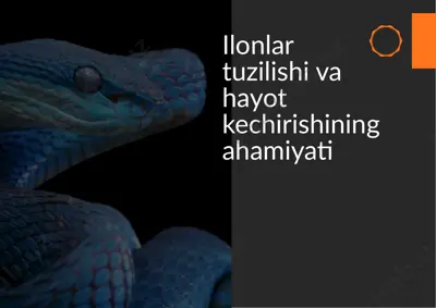 ilonlar — PDF