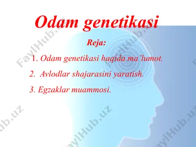 odam genetikasi — PPTX