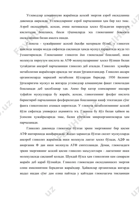 лан тугайдиган анаэроб парчаланиши гликолиз деб аталади. гликолиз ҳужайра метаболизми жараёнлари орасида энг яхши ўрганилганидир. гликолиз аксари организмларда марказий метаболик йўллардан биридир. 1930 йилнинг ўрталаригача мускул ва жигарда углеводлар алмашинуви фақат глюкозадан бошланади деб ҳисобланар эди. аммо бир катор олимларнинг ишлари туфайли мускулларда бу жараён, асосан, гликогеннинг фосфат кислота бириктириб парчаланиши фосфорилиздан бошланиши кашф этилгандан сўнг фанга гликогенолиз атамаси киритилди. у глюкоза катаболизмининг асосий йўли сифатида универсал аҳамиятга эга. глюкоза бу йўл билан ҳайвон ва ўсимлик ҳужайраларида эмас, балки кўпчилик микроорганизмларда ҳам парчаланади. гликолиз давомида глюкозада бўлган эркин энергиянинг бир қисми атф иштирокида жамђарилади. жадал ҳаракатда бўлган скелет мускулларда анаэроб гликолиз жараёнида икки молекула лактат ҳосил бўлади, адф ва анорганик ф дан икки молекула атф синтезланади. демак, глюкозадаги эркин энергиянинг асосий қисми гликолиз маҳсулотлари - лактатнинг икки молекуласида сақланиб қолади. шундай бўлса ҳам гликолизни кам самарали жараён деб қараб бўлмайди. гликолиз глюкозадан оксидланишсиз энергия олиш имкониятини берадиган жараёндир. ҳайвонлар организмида …
