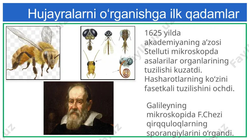 ik va hayvonlar tanasi hujayralardan hisoblanadi. yangi hujayralardan faqat avval mavjud bo`lgan hujayralarning bo`linishi tufayli paydo bo‘ladi. organizmlarning hujayralardan tashkil topishi ularning kelib chiqishi bir xil ekanligidan dalolat beradi hujayra tirik orgaanizmlarning tuzilish,funksional birligi hisoblanadi. har bir hujayra mustaqil hayot kechirish xususiyatiga ega. i9 presentation to joe smith ‹#› 19 uyga vazifa 3 2.mamlakatimizda sitologiya sohasida olib borilayotgan ishlar 1.sitologiya sohasining bugungi kundagi yutuqlarining insoniyat uchun afzalliklari 3.mavzu yuzasidan darslikda berilgan topshiriqlarni bajarish savollarga javob yozish i9 presentation to joe smith ‹#› image1.jpeg image2.jpg image3.jpg image4.jpg image5.jpg image6.jpg image7.jpg image8.jpg image9.jpg image10.jpg image11.png image12.png image13.jpg image14.jpg image15.jpg image16.jpg image17.jpg image18.jpg image19.jpg image20.jpg image21.jpg image22.jpg image23.jpg image24.jpg image25.jpg image26.jpg image27.jpg image28.png image29.jpg image30.jpg image31.jpg image32.jpg image33.jpg