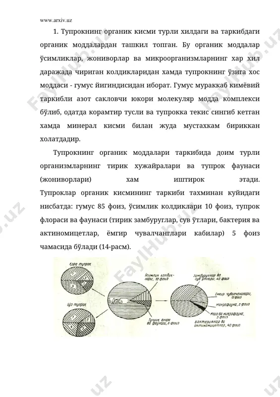 диклари ва илдизлари. аммо жониворлар ва микроорганизмлар колдикларининг таркибида оксил моддаларнинг кўп бўлиши, тупрокда азотга бой органик моддаларнинг тўпланишида мухим роль ўйнайди. турли ўсимликлар формацияси колдирадиган, хар йили тўпланадиган органик модда (биомассаси) бир хил эмас ва гектарига ўртача 3,4-13,7 тоннани, нам субтропик ўрмонларида эса хатто 30-35 тоннани ташкил этади. турли табиий тупрок зоналарида куйидаги ўсимликларнинг колдиклари тўпланиши мумкин. тундра зонасида фитомасса захираси 150 дан 2500 г/м2 гача, ўрмон-тайга зонасининг юкори бонитетли ўрмонларида фитомасса микдори 25-40 минг г/м2 гача кўпаяди. дашт зонаси ўтсимон ўсимликлар ўрмонларга нисбатан камрок биомасса (1200-2500 г/м2) тўплайди, аммо илдиз массаси 3-6 марта кўп бўлади. чўл зонасида фитомасса захираси кескин камаяди, аммо илдиз массаси кўпаяди ва ер юзасидаги органик моддалар хамда илдиз массасининг нисбати 1:8-1:9 га баробардир. тупрокнинг биологик активлиги анча паст бўлса-да, нам етарли бўлган бахор вактларида кучаяди. тупрокда тўпланадиган органик колдикларнинг кимёвий таркиби кўпинча нобуд бўлган организмларнинг турларига боглик. (12-жадвал) . 12- жадвал юкори ва тубан …