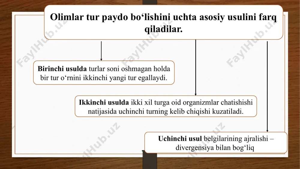 bo‘lishi simpatrik yo‘nalishda tur paydo bo‘lishi ajdod tur areali doirasida alohidalanish sodir bo‘lishi bilan bog‘liq. alohidalashgan populatsiyalar ajdod tur bilan bir arealda tarqalgan bo‘ladi. odatda alohidalashgan individlar guruhi ajdod tur vakillaridan urchish muddati yoki yashash joyi, yoxud jinsiy jihatdan farq qilishi bilan ajralib turadi. filippinda 10 ming yil oldin paydo bo‘lgan lanao ko‘lida yagona bitta ajdod baliq turidan simpatrik yo‘nalish bilan 18 ta baliq turi, yonsuzar qisqichbaqa turkumining bir ajdod turidan 250 ta yangi tur paydo bo‘lgani ma’lum. shu singari sim- patrik yo‘nalishdagi yangi turlarning paydo bo‘ lishi ekologik alohidalanish natijasi ekanligidan dalolat beradi. katta chittak (bog‘larda yirik hasharotlar) ekologik alohidalanish natijasida umumiy areal doirasida chittaklarning 5 turi kelib chiqqan. moskovka chittagi (hasharotlar tu- xumlari va qurtlari) lazorevka chittagi (daraxt, butalar po‘stlog‘i orasidagi mayda hasharotlar) kokilchali chittak (o‘simlik urug‘lari) xromosoma va genom mutatsiyalari, duragaylash natijasida yangi turlarning hosil bo‘lishi ham simpatrik tur hosil bo‘lish yo‘nalishiga misol bo‘ladi. ba’zi hollarda hujayraning …