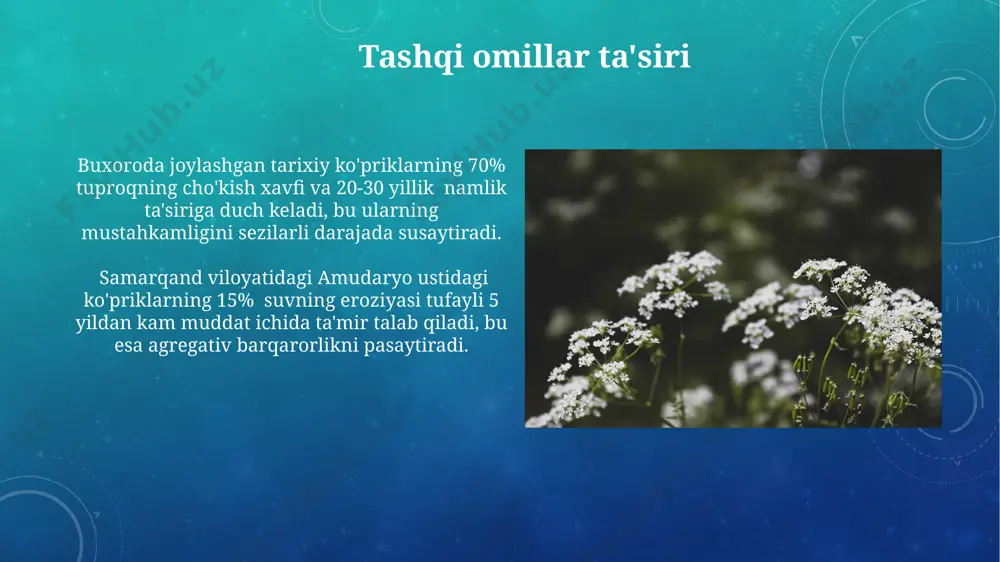 ko‘priklar va ularning agregativ barqarorligi hamda ularga ta'sir etuvchi omillar - Page 5