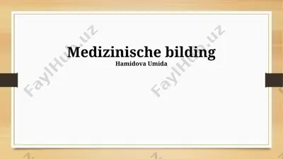 medizinische bildgebung — PPTX