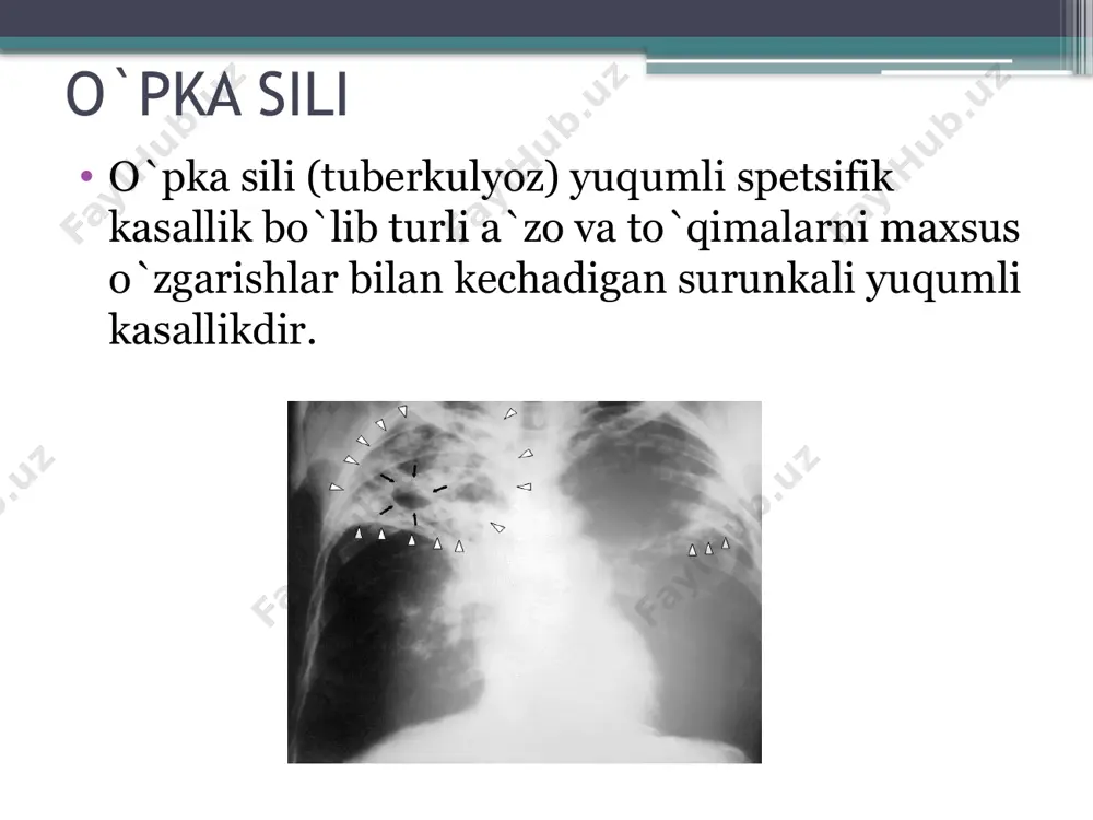 da bo`lish; muolajalarni vaqtida bajarilishi; e`tiboringiz uchun rahmat image2.jpeg image3.jpeg image4.jpeg image5.jpeg image6.jpeg image7.jpeg image8.jpeg image9.png image10.jpeg image11.png image12.jpeg image13.jpeg image14.png image15.jpeg image16.jpeg image17.jpeg image18.jpeg image19.jpeg image20.jpeg image21.png image22.jpeg image23.jpeg image24.png image25.jpeg examens médicaux