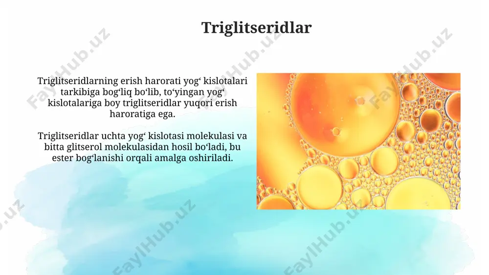 lipidlar. sovunlanadigan va sovunlanmaydigan lipidlar - Page 4