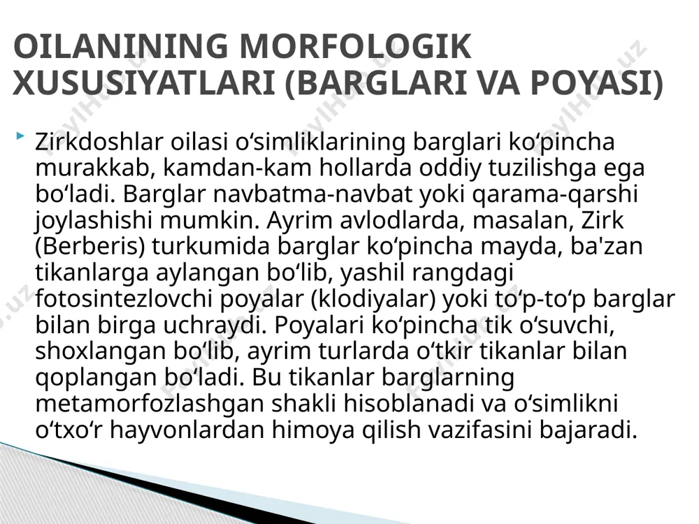 zirkdoshlar oilasi - Page 5