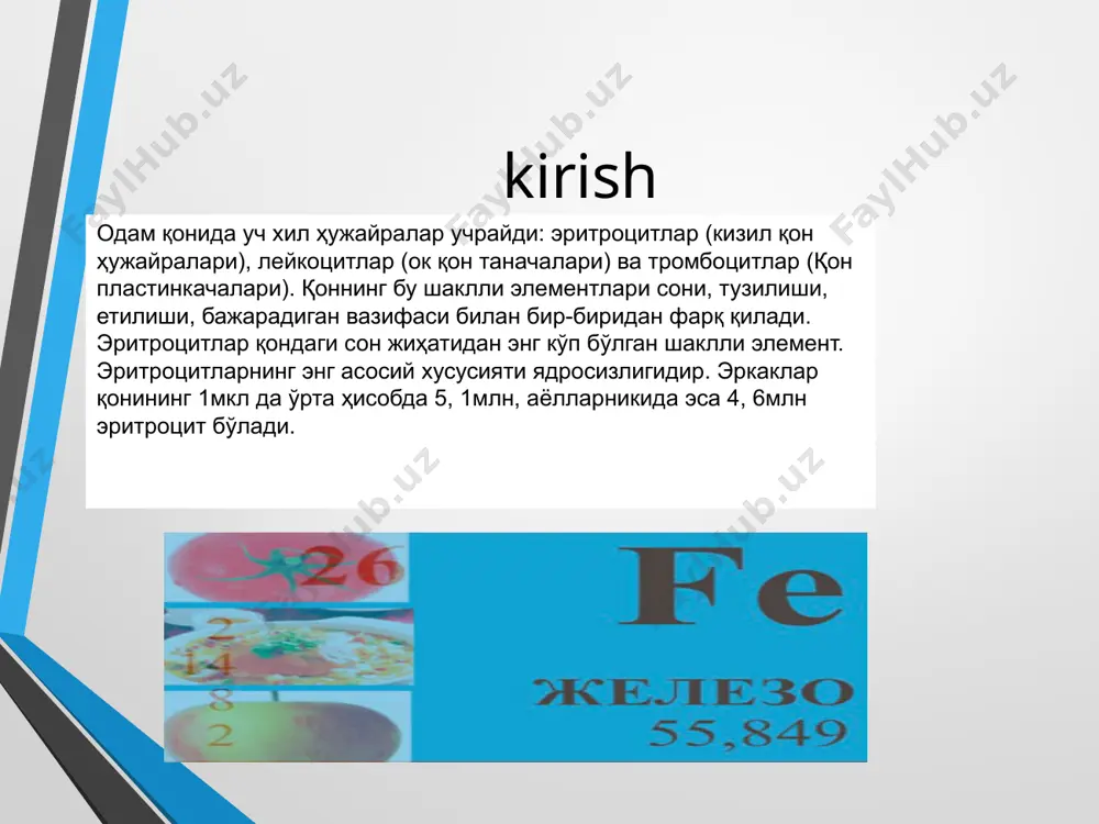 eritrotsitlardagi gemoglobin oksigenatsiyaga uchrab, oksigemoglobinga aylanadi, to'qima kapillyarlarida dezoksigenatsiya jarayoni ro'y berishi hisobiga kislorod erkinlashadi va to'qimalarga o'tadi. kislorodni yo'qotgan oksigemoglobin dezoksigemoglobin deyiladi. arterial qonning kip-kizil bo'lishi oksigemoglobinga bog'liq. gemoglobining 1 g 1, 34 sm3 kislorod biriktirib olishi mumkin. demak, qondagi mavjud 600 gr gemoglobin kislorodga tuyinsa, 800 sm3 kislorodni bog'laydi. 1sm3 qon biriktirib olishi mumkin bo'lgan kislorod miqdori qonning kislorod sigimini belgilaydi. sog'lom odam qonining kislorod sigimi taxminan 0, 19 sm3. gemoglobinni kumikdagi eritroblastlar va normoblastlar sintezlaydi. eritrotsitlar karib, emirilgandan sung, ulardagi gemoglobin parchalanadi va gemdan o't pigmenti – bilurubin hosil bo'ladi. bir kecha- kunduzda organiemdagi gemoglobinning 1 % ga yaqini parchalanadi. oksigemoglobin, dezoksigemoglobindan tashqari qonda gemoglobin karbonat angidrid bilan birikib, karbogemoglobin hosil qiladi. bu birikma modda almashinuvi natijasi bo'lgan so2 ni tashilish shaklidir. tabiiy sharoitda gemoglobinning faqat 1% i is gazi bilan birikkan bo'ladi. organizmga oksidlash qobiliyatiga ega bo'lgan dorivor yoki boshqa moddalar (kaliy permanganat, bertolet tuzi, anilin, …