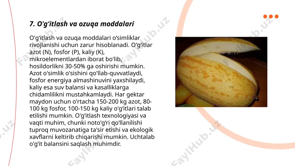 ardandir. yangi texnologiyalar yordamida, masalan, gen muhandisligi orqali hosildor navlarni yaratish ham dolzarb. dronlar va sun’iy yo‘ldoshlar yordamida ekinlarning rivojlanishini kuzatish va o‘g‘itlashni optimallashtirish mumkin. ... t.me/slaydai_bot yapon saforasi (sophora japonica) o'simligi, odatda osiyo mintaqasida uchraydi va qimmatbaho bo'lib, xitoy tabobatida keng qo'llaniladi. yapon saforasini himoya qilish hozirgi kunda muhimdir, chunki bu o'simlikning tabiiy areallari qisqarib bormoqda. faqatgina xitoyda tabiiy o'sish yer maydonlari 20% ga kamaygan. 1970-yildan beri dunyo bo'ylab yapon saforasi o'sadigan hududlar yillik 5% dan kamaymoqda. uning ta'riflangan 450 ga yaqin turi bo'lib, 40 dan ortig'i xavf ostida. tabiy sharoitlarni qayta tiklash va biologik xilma-xillikni saqlash orqali bu o'simlik turlarini himoya qilish dolzarb bo'lib turibdi. ... t.me/slaydai_bot 13. safora daraxtini parvarish qilishda ekologik omillar safora daraxtini parvarish qilishda ekologik omillar muhim ahamiyatga ega. ushbu daraxtlar quyosh nuriga boy joylarda yaxshi o‘sadi va harorat 20-30°c atrofida bo‘lishi kerak. tuproq namligi o‘rtacha darajada saqlanishi, ph 6-7,5 oralig‘ida bo‘lishi zarur. sug‘orish …