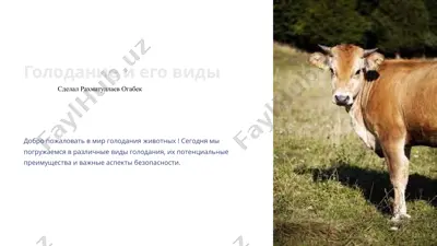 голодание и его виды — PPTX