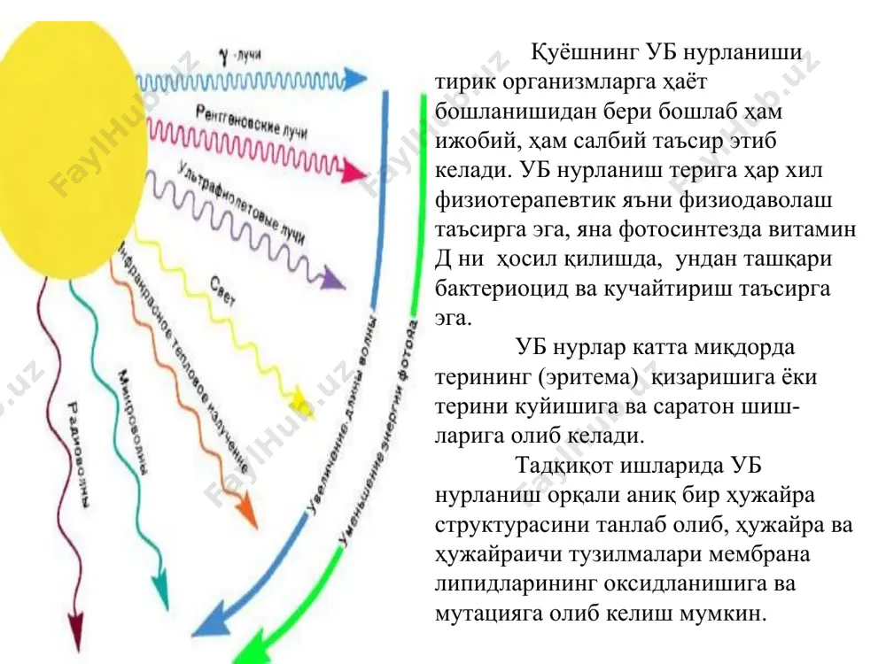 нуклеин кислоталар ва бошқа биополимерларда фотобиологик эффектларга сабаб бўлади. кўринувчи нур эса, фотосинтез, фоторецепция, фотоморфогенез ҳамда фотодинамик эффектлар учун актив ҳисобланади. фотоннинг ютилиш жараёни молекулага электронларнинг ўтишлари билан боғлиқ ҳисобла-нади. молекуладаги электронлар маълум бир энергия қийматига эга бўлиб, энергетик сатҳларни тасвирлайди. бу сатҳларда, улар худди шкафнинг полкаларидек жойлашган бўлиб, мавжуд молекулалар пастки ҳар бир сатҳда жуфт бўлиб жойлашадилар. ёруғлик квантини ютган электрон бўш бўлган юқориги сатҳга кўтарилади. фотонни ютган молекула қўзғалган-электрон деб аталади. ютилган энергия фотокимёвий реакцияни бошлаб юбориши ва фотобиологик жараёнларни тезлаштириши мумкин бўлади. эгалланган (тўлдирилган) даражалар банд бўлмаган (бўш) даражалар молекуляр даражадаги энергетик электронлар ёруғлик таъсирида содир бўладиган кимёвий жараёнлар бўлиб, фотокимёвий реакциялар ёки фотолиз номланади. улар қаттиқ, суюқ, газсимон ҳолда оқиши мумкин бўлган жисмлар. кўринадиган ёруғлик инфрақизил ва ултрабинафша нурлар λ (тўлқин узунлиги) 100-1000 нм гача. бу квантларнинг энергияси 120-1200 кж/мол ни ташкил қилади. фотокимёвий реакциялар фотокимё иккита қонунга асосланади: 1. гроттҳус-дрепер қонуни: фақат атроф-муҳит томонидан сўрилади …