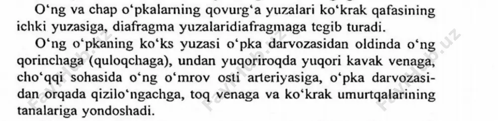 bo'yin sohalari va iuchtdrehakiand - Page 4