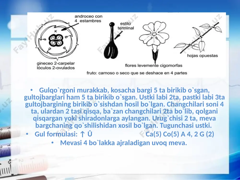 nano, dori mavrak, arslonquyruq va boshqalar meditsinada ishlatiladi. yalpiz, osh rayhon, jambil va boshqalar ovqat mazasini yaxshilashda ishlatiladi. image2.jpeg image3.jpeg image4.jpeg image5.png image6.png image7.jpeg image8.jpeg image9.jpeg image10.jpeg image11.jpeg image12.jpeg image13.jpeg image14.jpeg image15.jpeg image16.jpeg image17.jpeg image18.jpeg image19.jpeg image20.jpeg image21.jpeg image1.jpeg