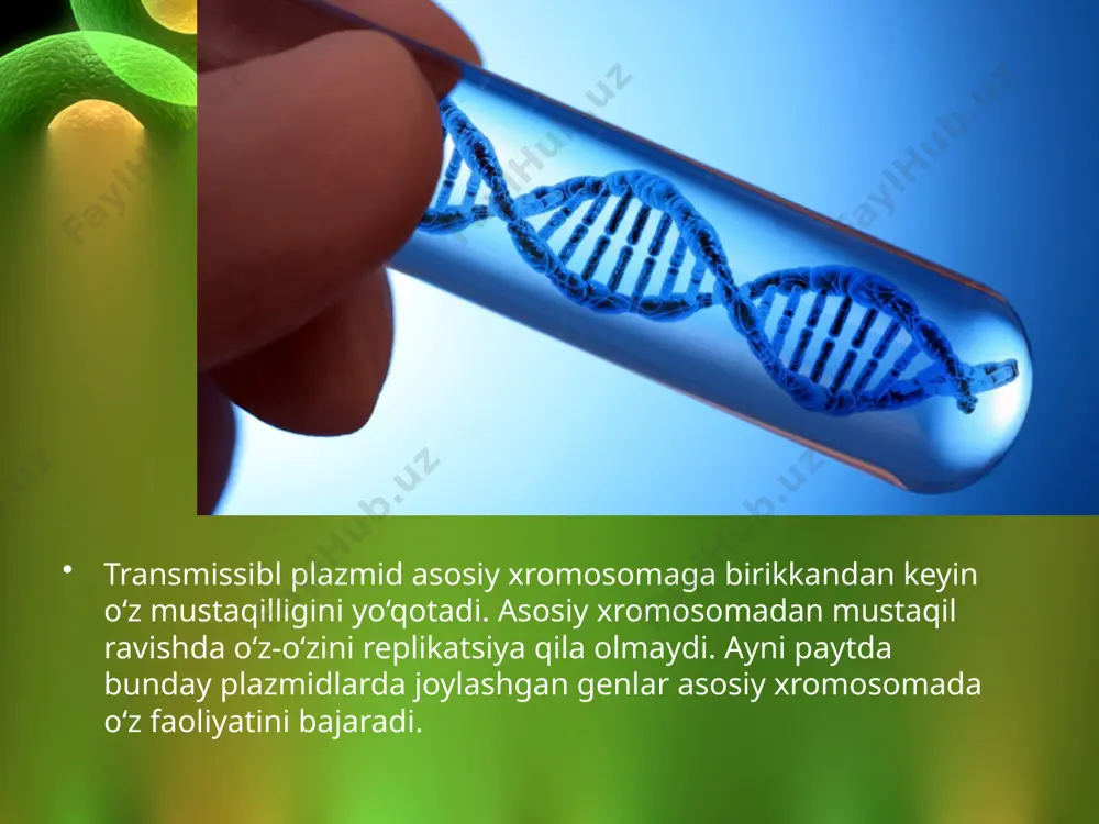 hujayraning genetik elementlari. 10 - sinf - Page 5
