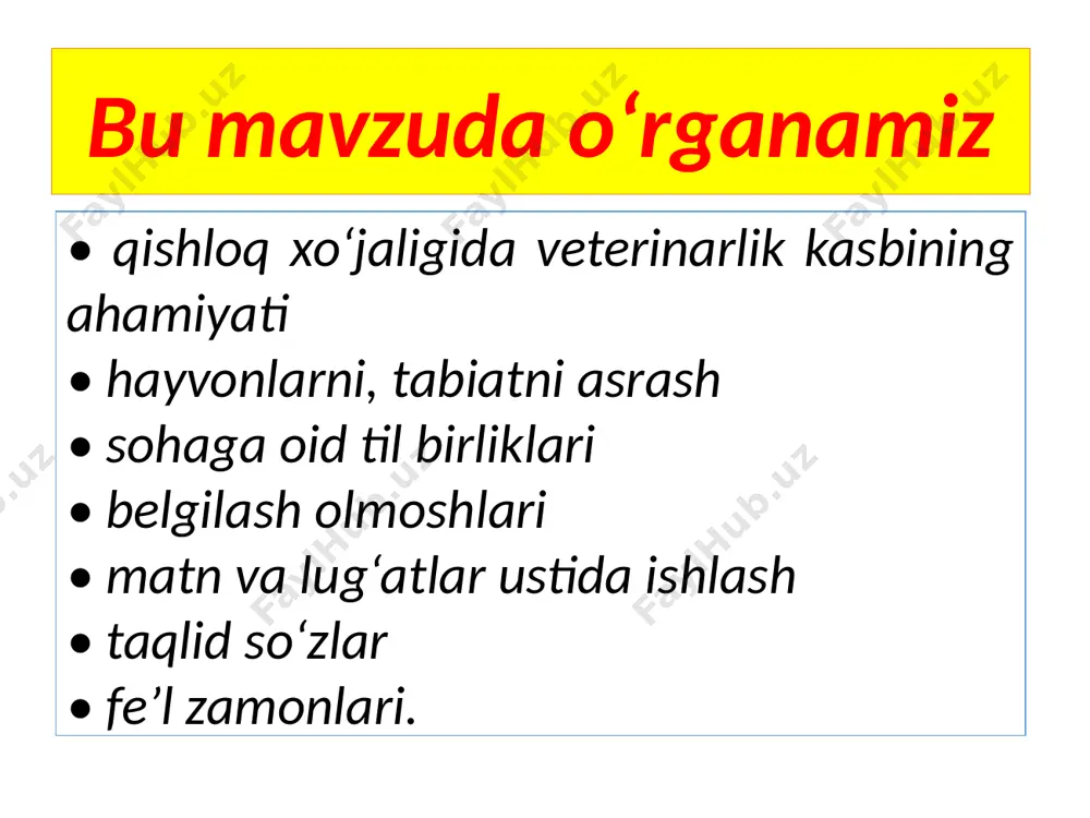 veterinar - Page 4