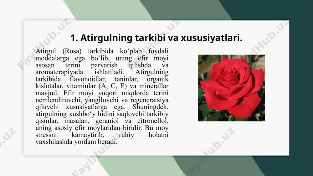 atirgul danefirmoyi olishtexnologiyasi - Page 3
