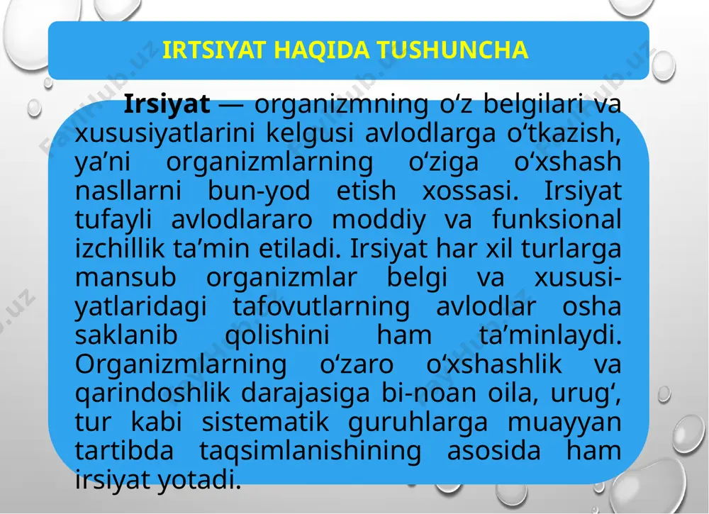natijasida rivojlanganligi tufayli irsiyat ham genotip va tashki sharoitning taʼsirida turli koʻrinishlarda namoyon boʻladi. aksariyat hollarda irsiyat xromosomalar tarkibidagi dnk molekulasida joylashgan genlar orkali amalga oshadi. bunday irsiyat xromosoma yoki yadro irsiyati deyiladi. genlarning nisbatan kam qismi sitoplazmada joylashgan pla-stidalar va mitoxondriyalarda, yaʼni xromosomalar bilan bogʻliq boʻlmagan hujayra elementlarida joylashgan boʻladi. bu genlar faoliyati orqali amalga oshadigan irsiyat sitoplazmik irsiyat deyiladi. irsiyat tufayli organizmlar har xil guruhlarining nisbatan musta-qilligi, ularning yaxlit sistema (po-pulyasiyalar, turlar) sifatida muayyan yashash sharoitiga moslashganlik xususiyatlari saqlab qolinadi. illy sababdan irsiyat evolyusion jarayonning eng asosiy omillaridan biri hisoblanadi. genetik tadqiqotlar natijasida qator irsiyat qonunlari kashf etildi. mendel tadqiqotlaridan kelib chiqadigan irsiyat qonunlari quyidagilardan iborat: organizm belgi va xususiyatlarining irsiy asosini genlar tashkil etadi; irsiyat birligi boʻlgan genlar nisbatan turgʻundir; har bir gen har xil allel (dominant va retsessiv) xrlatda boʻladi; tana hujayralarida genlar jinsiy hujayradagiga nisbatan ikki hissa koʻp. amerikalik t. morgan tadqiqotlari negizida quyidagi irsiyat …