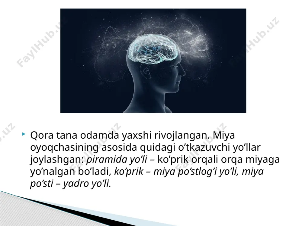to’rt tepalik bo’rtiqlari - Page 5