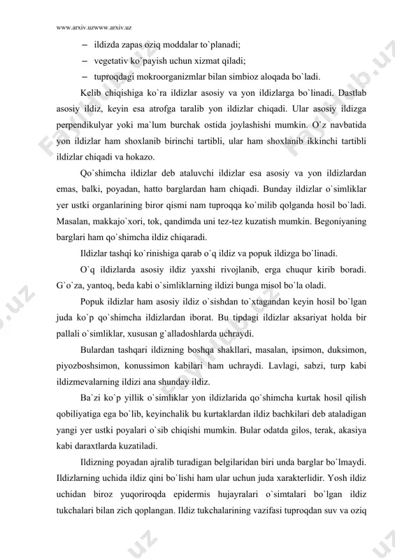 keyinchalik bu kurtaklardan ildiz bachkilari deb ataladigan yangi yer ustki poyalari o`sib chiqishi mumkin. bular odatda gilos, terak, akasiya kabi daraxtlarda kuzatiladi. ildizning poyadan ajralib turadigan belgilaridan biri unda barglar bo`lmaydi. ildizlarning uchida ildiz qini bo`lishi ham ular uchun juda xarakterlidir. yosh ildiz uchidan biroz yuqoriroqda epidermis hujayralari o`simtalari bo`lgan ildiz tukchalari bilan zich qoplangan. ildiz tukchalarining vazifasi tuproqdan suv va oziq moddalarni so`rishdir. shunday tukchalarning borligi ildizning so`ruvchi yuzasini 5-10, hatto 30-40 barobar oshiradi. ildiz tukchalari suv va botqoq o`simliklarda , tekinxo`r o`simliklarda deyarli bo`lmaydi. ildiz sistemasini uzunligi turli o`simliklarda turlichadir. masalan, karamda 1,5 m, bedada 2 m, yong`oqda 20 m, yantoqda undan ham ortiq bo`ladi. ildiz sistemasining umumiy uzunligi ham turlichadir. g`alla o`simliklarida 500-600 m bo`lgani holda bug`doy ildiz tuklarining jami uzunligi 20 km ga etadi. qovoq ildizlarining jami uzunligi taxminan 25 km bo`lib, ular har kuni o`rta hisobda 300 m ga o`sadi. 1866 yilda rus olimi m. …