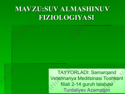su anatomiyasi — PPT