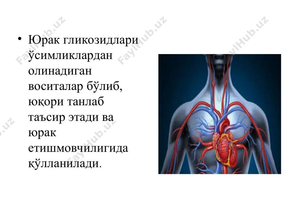 ↑ , аритмия амринон фосфодиэтераза блокатори «+»инотроп-, қон томирларни кенгайтирувчи таъсир юқч ↑ , ↓тана хароратини , аритмия, тромбоцитопения милринон фосфодиэтераза блокато «+»инотроп-, қон томирларни кенгайтирувчи таъсир аритмия, гипокалиемия антиангинал воситалар . антиангинал воситалар - бу воситалар турли кимёвий тузилишга ва таъсир механизмга эга бўлиб, юрак ишемик касаллиги олдини олиш ва хуружларини колдиришда кўлланилади. - хуруж оғриқларининг асоси – миокард ишемияси бўлиб хуружсимон, тўш ортида интенсив, сиқувчи ва чап қўл сохасига тарқалиши билан намоён бўлади .. . органик нитратлар нитроглицерин сустак тринитролонг эринит нитросорбит изосорбит . . кальций каналларини блокаторлари фенигидин верапамил амлодипин нифедипин дилтиазем β-адреноблокаторлар анаприлин талинолол метопролол β-адреноблокаторлар таъсири . . . . . миотроп таъсир этувчилар дипиридамол рефлектор коронороспамзни бартараф этувчилар валидол андижон давлат тиббиёт институти фармакология, клиник фармакология ва тиббиёт биотехнологиялари кафедраси фан номи: фармакология аритмияга қарши дорилар * миокардда аномал деполяризация жараёнлари импульсларни хосил бўлиш жойига қараб (барча носинусли ритм) ♦ частотаси бўйичае ( 60–90 …