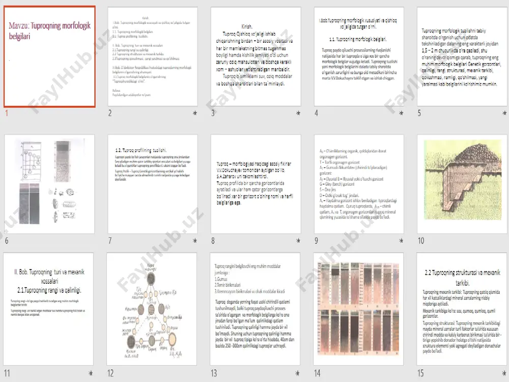 tuproqning morfologik belgilari - Page 3
