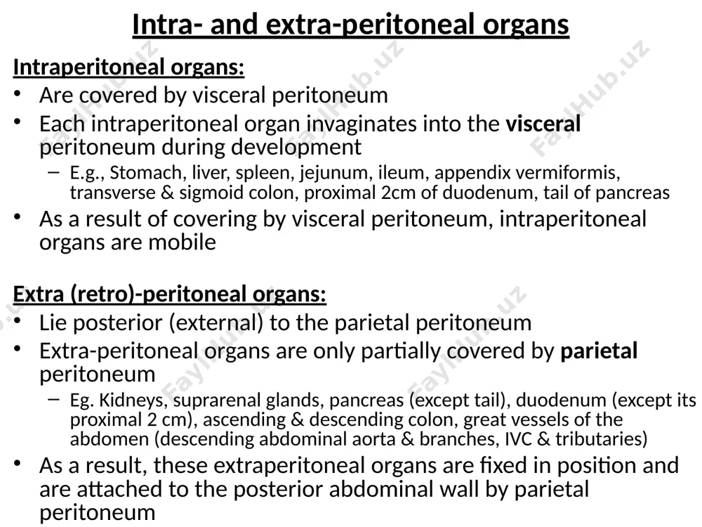 reater sacs: lesser sac (omental bursa) shown in blue color: is a space that lies posterior to the stomach double layer of peritoneum seals off communication b/n greater & lesser sacs lesser sac has: superior recess inferior recess lesser sac provides a dead space for the stomach allowing it to expand when filled with food/drinks omental (epiploic) foramen inferior recess of the lesser sac lateral view of abdominal cavity p a a p lesser sac con’t lesser sac: communicates with greater sac anteriorly through the omental (epiploic) foramen foramen is bounded by: anteriorly: free edge of the lesser omentum with its contents (portal triad, ln & vessels, and nerve plexus) posteriorly: ivc & right crus of diaphragm superiorly: caudate lobe of the liver inferiorly: 1st part of duodenum & the portal triad ha = hepatic artery pv = portal vein bd = bile duct portal triad omental foramen splenogastric ligament …