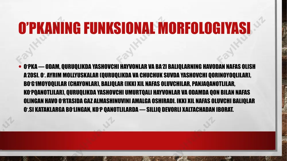 g o'ziga xos xususiyatlaridan biri uning hujayra devoridir. u mikolik kislotaning yuqori foizini (50-60%) o'z ichiga oladi, shuningdek, lipidlar va mumlarga boy, bu ularning kislotaga chidamliligini tushuntiradi. qobiq: yog 'kislotalarining mavjudligi bakteriya atrofida maxsus membrana hosil bo'lishiga olib keladi. moslashuv: mikobakteriyalar hujayra ichidagi o'sishga qodir, bu ularni yo'q qilishda qiyinchiliklarni keltirib chiqaradi. ularning o'ziga xos xususiyatlari tufayli ular ko'plab dezinfektsiyalash va yuvish vositalariga, standart antibiotiklarga, bo'yoqlarga va boshqa ta'sirlarga chidamli bo'lib, ularni eng chidamli mikroorganizmlardan biriga aylantiradi. mikobakteriyalar keltirib chiqaradigan sil kasalligining patogenezi 1. tanaga kirish infektsiyali tayoqchalarni o'z ichiga olgan havodagi zarralar nafas olish yo'li bilan tanaga kiradi. birinchi himoya chizig'i - traxeya va bronxlarning epiteliyasi ularni kechiktirishga harakat qiladi. biroq, bu to'siqdan muvaffaqiyatli o'tgan bakteriyalar o'pkaga yanada kirib boradi. 2. birlamchi sil kasalligining shakllanishi o'pkadagi alveolyar makrofaglar bakteriyalarni fagotsitozga solib, ularni fagosoma ichiga o'rab oladi. lizosomaning keyingi harakati ularning ko'pchiligini yo'q qilishga olib keladi. ammo makrofaglarga qarshilik ko'rsatadigan …