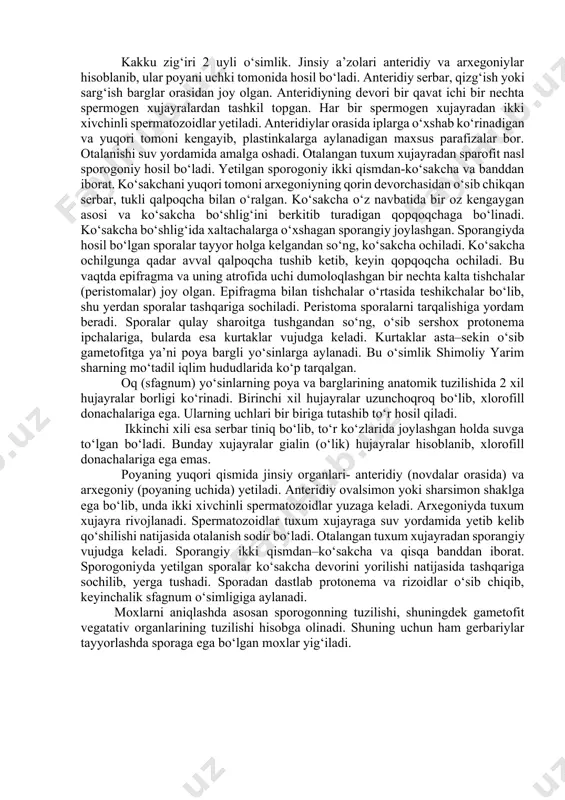 ib, plastinkalarga aylanadigan maxsus parafizalar bor. otalanishi suv yordamida amalga oshadi. otalangan tuxum xujayradan sparofit nasl sporogoniy hosil bo‘ladi. yetilgan sporogoniy ikki qismdan-ko‘sakcha va banddan iborat. ko‘sakchani yuqori tomoni arxegoniyning qorin devorchasidan o‘sib chikqan serbar, tukli qalpoqcha bilan o‘ralgan. ko‘sakcha o‘z navbatida bir oz kengaygan asosi va ko‘sakcha bo‘shlig‘ini berkitib turadigan qopqoqchaga bo‘linadi. ko‘sakcha bo‘shlig‘ida xaltachalarga o‘xshagan sporangiy joylashgan. sporangiyda hosil bo‘lgan sporalar tayyor holga kelgandan so‘ng, ko‘sakcha ochiladi. ko‘sakcha ochilgunga qadar avval qalpoqcha tushib ketib, keyin qopqoqcha ochiladi. bu vaqtda epifragma va uning atrofida uchi dumoloqlashgan bir nechta kalta tishchalar (peristomalar) joy olgan. epifragma bilan tishchalar o‘rtasida teshikchalar bo‘lib, shu yerdan sporalar tashqariga sochiladi. peristoma sporalarni tarqalishiga yordam beradi. sporalar qulay sharoitga tushgandan so‘ng, o‘sib sershox protonema ipchalariga, bularda esa kurtaklar vujudga keladi. kurtaklar asta–sekin o‘sib gametofitga ya’ni poya bargli yo‘sinlarga aylanadi. bu o‘simlik shimoliy yarim sharning mo‘tadil iqlim hududlarida ko‘p tarqalgan. oq (sfagnum) yo‘sinlarning poya va barglarining anatomik …