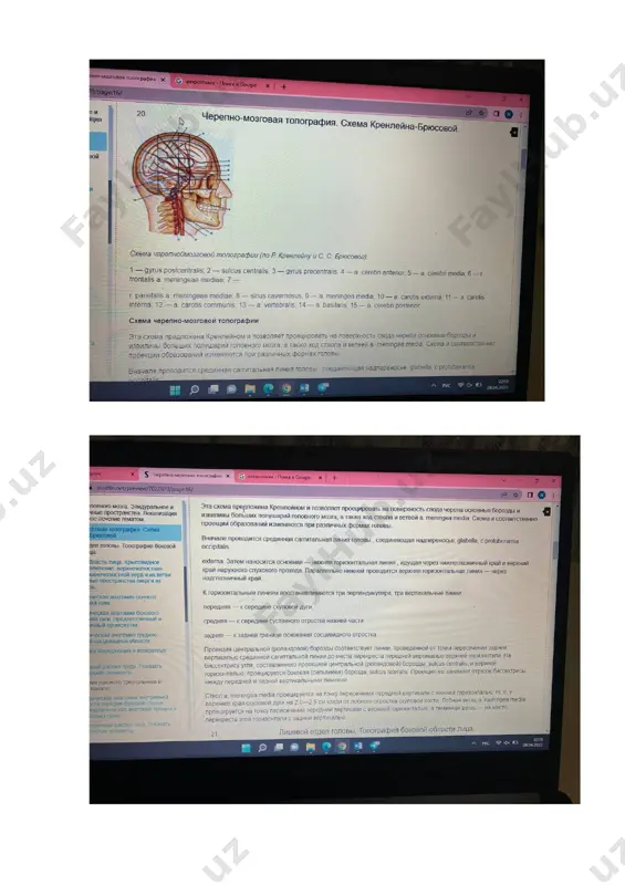 ga o’tib, oyoq panjasi orqa arteriyasi tarmoqlari bilan anastomoz hosil qiladi. shunday qilib, bu erda oldingi va orqa katta boldir arteriyalari orasida anastomoz hosil bo’ladi. kaftdagi nervlar teridan tashqari, yana oyoq panjasi kaft yuzasidagi mushaklarni ham innervatsiya qiladi.shunday qilib, kaftda to’rtta fassial g’iloflar tafovut qilinadi. bular: medial, lateral va o’rta g’iloflar bilan suyaklararo mushaklar yopqichidir. bularning ichida medial va lateral g’iloflar yopiq bo’ladi. o’rta g’ilof esa qon tomir va chuvalchangsimon mushaklar bo’ylab oyoq panjasining orqa sohasidagi yog’ to’qimalari bilan, to’piqlar va tovon kanallari orqali - boldirning orqa yuzasidagi chuqur yog’ to’qima bo’shliqlari bilan aloqa qiladi. kaftning chuqur fastsiyasi barmoqlarni bukuvchi kalta mushaklar bilan oyoq kaftining kvadrat mushaklari o’rtasidan o’tib, o’rta yotqichni ikki bo’shliqqa bo’ladi. yuzaki bo’shliqni ichida barmoqlarni bukuvchi kalta mushaklar, chuqur bo’shliqda – o’rta g’ilofdagi hamma mushaklar bilan kaftning ikkala qon tomir va nerv tutamlari joylashadi.o’rta yopqichning chuqur bo’shlig’iga kaft kanali (canalis plantaris) deyiladi. bu kanalning yon tomonlarini aponevrozdan …