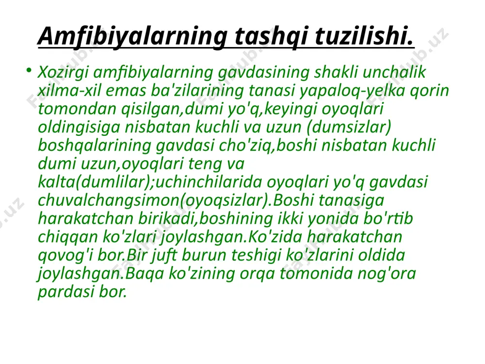 suvda hamda quruqlikda yashovchilar sinfi - Page 5