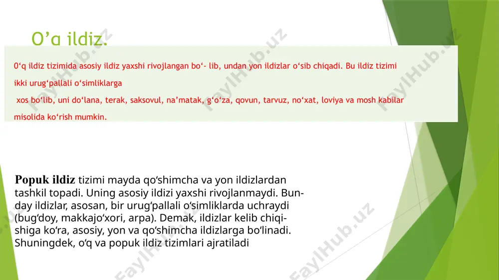 ildiz va uning turlari - Page 4