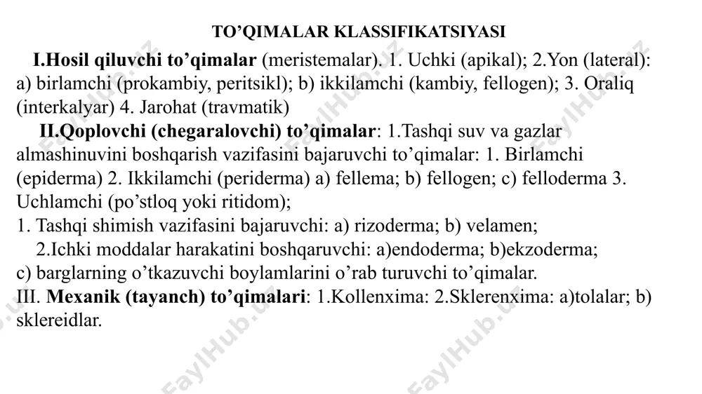r ham o’ladi. ana shu markaziy silindrdan ajralgan va uning tashqi tomonida joylashgan po’stloqning o’lik to’qimalar yig’indisiga po’stloq deyiladi. demak, po’stloq bu hujayralari o’lgan har xil to’qimalar yig’indisidir o’simlik organlarining ko’pchilik qismi yirik, hujayra devori yupqa, modda almashinish jarayonida aktiv ishtirok etuvchi hujayralardan tashkil topgan. bu guruh hujayralar o’simlik organlarida birlamchi va ikkilamchi meristema hisobidan hosil bo’ladi va ular asosiy to’qimalar deyiladi. bajaradigan vazifasi va joylanishiga ko’ra asosiy to’qima quyidagi qismlarga bo’linadi: so’ruvchi (shimuvchi) parenxima. assimilyatsion parenxima yoki xlorenxima. g’amlovchi parenxima. suv g’amlovchi parenxima. aerenxima. asosiy to’qimalar) asosiy to’qimalar) (shimuvchi) so’ruvchi joylashgan bo’lib, u ildiz tuklari hamda parenxima. bu parenxima ildizning so’rish birlamchi po’stloqning yosh mintaqasida parenxima hujayralaridan iborat. bu parenxima tuproqdagi suv va unda erigan mineral moddalarni so’rib olib ildizning markaziy silindridagi o’tkazuvchi to’qimalarga yetkazib beradi. assimilyatsion parenxima yoki xlorenxima. xloroplastlari bo’lgan asosiy to’qima assimilyatsion parenxima deb ataladi. bu parenxima asosan o’simlik barglarida, o’t o’simliklarning poyalarida daraxtsimon o’simliklar poyasining …