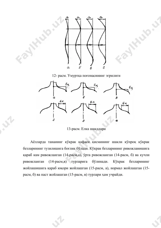 одам гавдаси ҳақида маълумот - Page 4